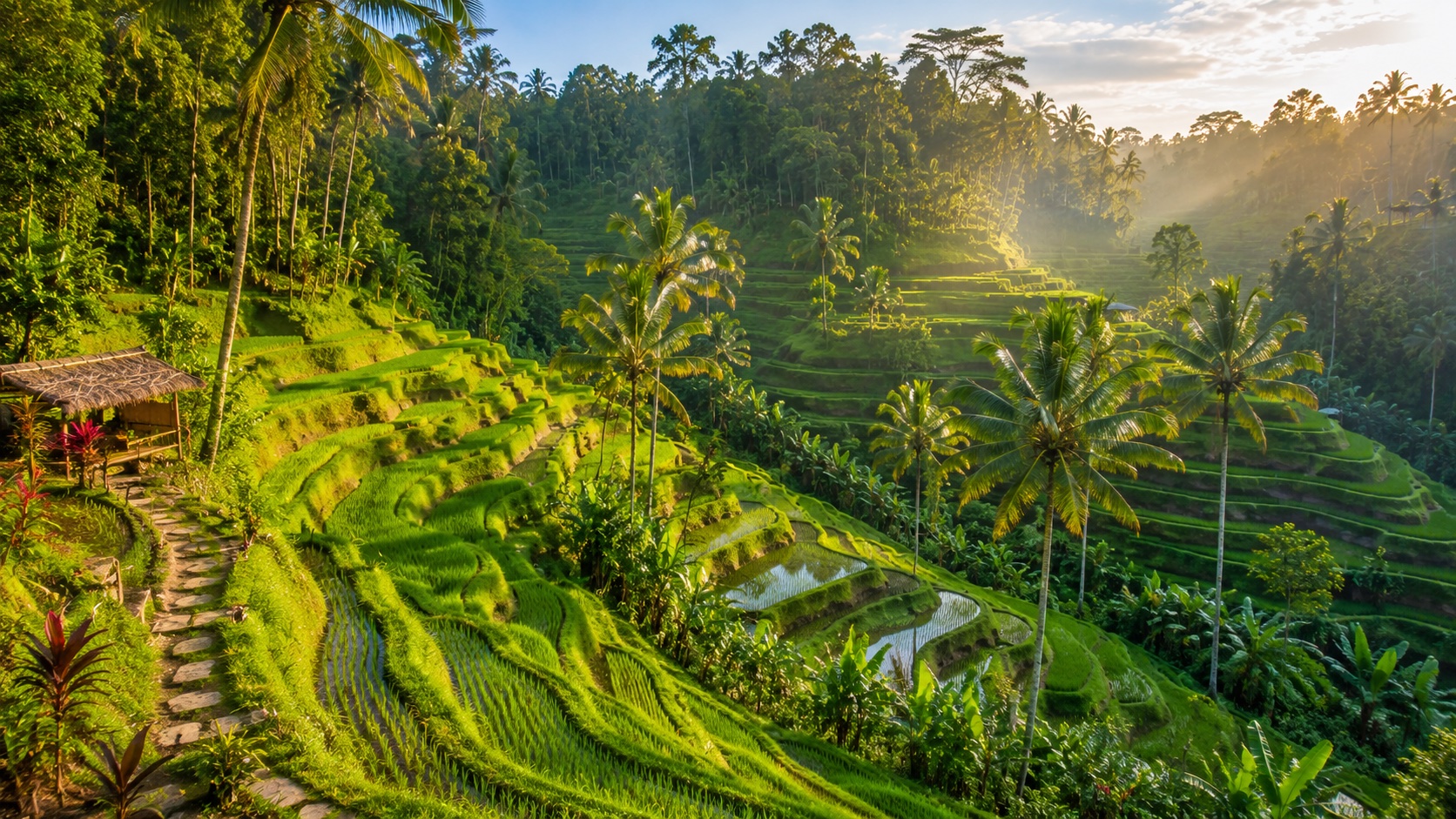 Bali Travel Guide: Temples, Rice Terraces, and Beaches